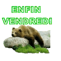 Gif animé Bon vendredi ours